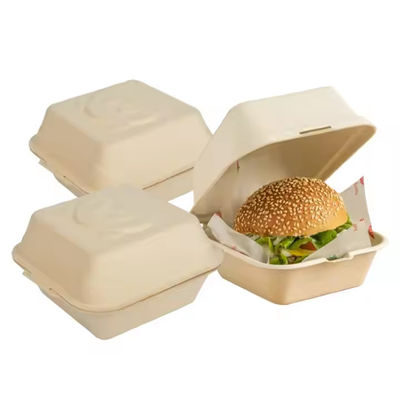 Goede prijs. Herbruikbare milieuvriendelijke takeaway-containers Biologisch afbreekbare suikerrietburgerdozen voor fastfood frietjes online
