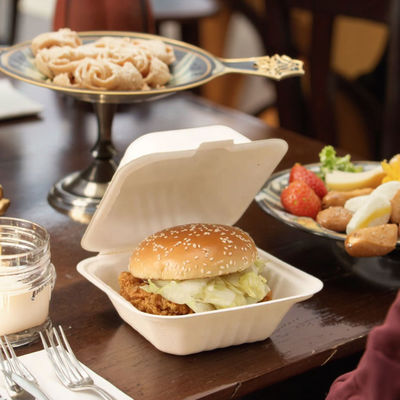 Good price Customized hamburger clam shell biodegradable bamboo fast food container sugarcane bagasse disposable lunch box online