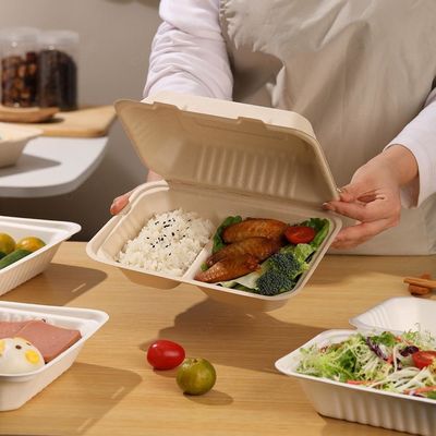 Good price Biodegradable takeaway food packaging bento lunch boxes fast food takeaway sugarcane pulp lunch boxes online