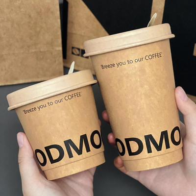 Eco-friendly custom logo disposable double-layer hot drink coffee cup set