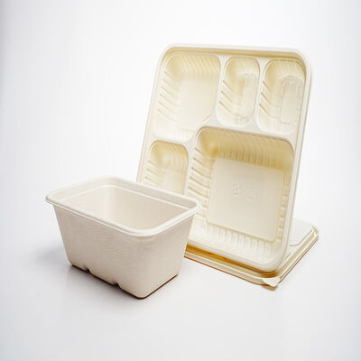 Good price Customized Eco-friendly Biodegradable Food Packaging Box for Takeaway and Restaurant Use online