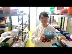 Einzigartige recycelbare Burger-Boxen   Umweltfreundliche Fast-Food-Verpackungen