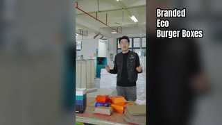 Le hamburger écologique enferme dans une boîte un emballage de marque personnalisé